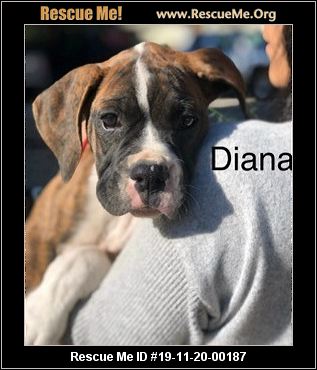 Diana has been adopted.