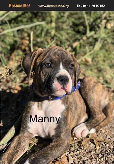 Manny has been adopted.