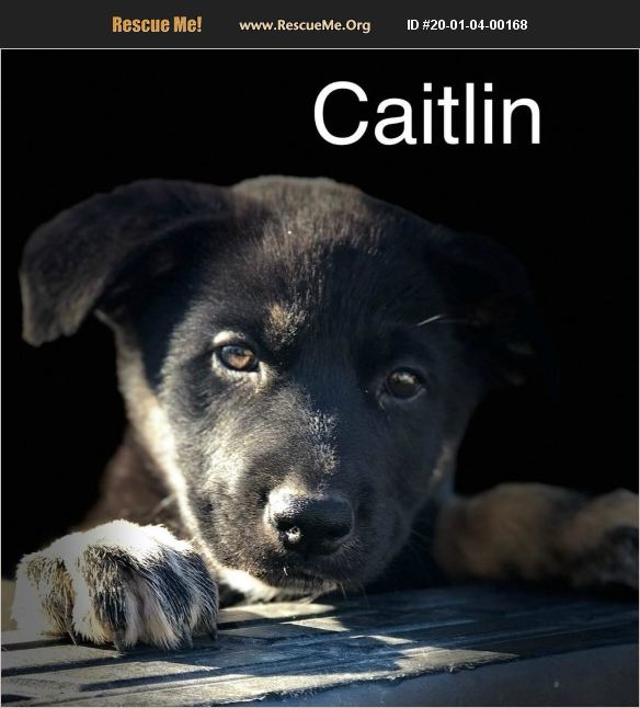 Caitlin has been adopted.