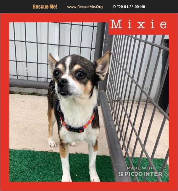 Mixie has been adopted.