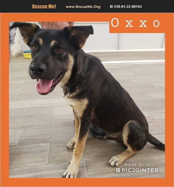 Oxxo has been adopted.