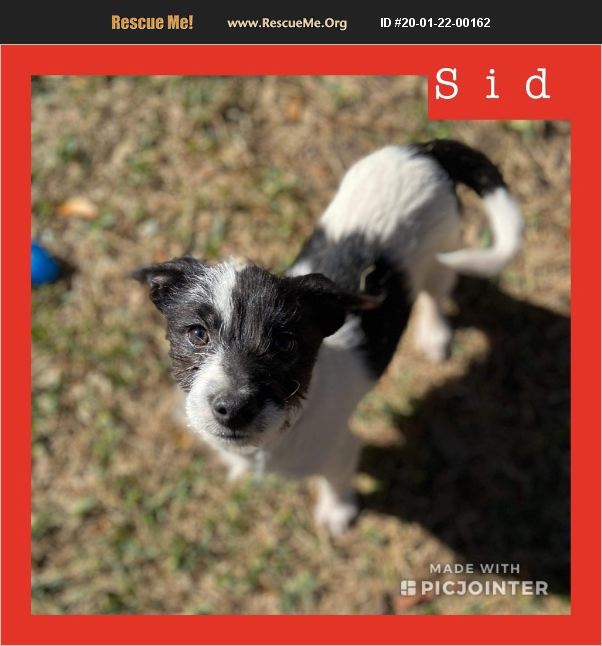 Sid has been adopted.