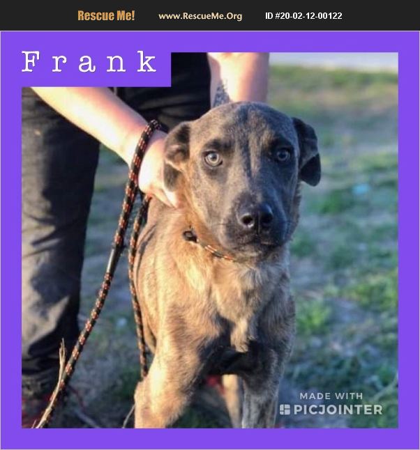 Frank has been adopted.
