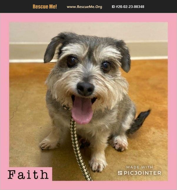Faith has been adopted.