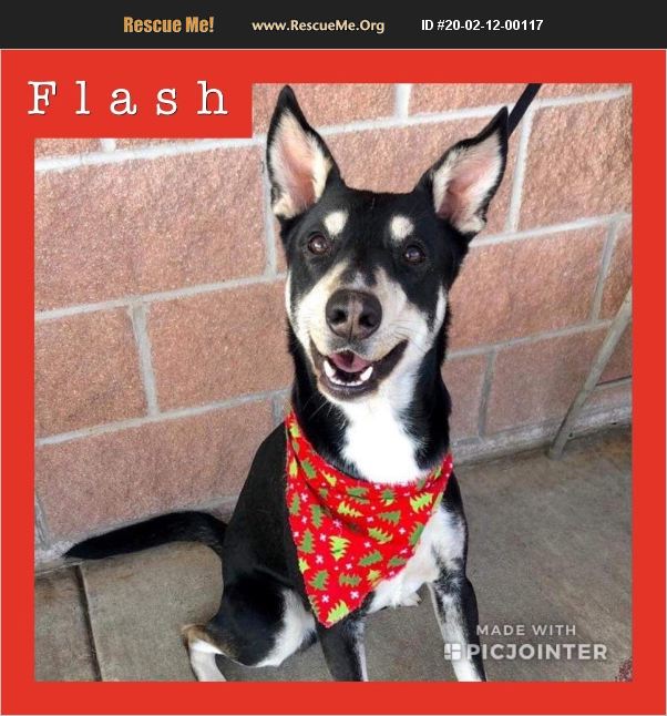 Flash has been adopted.