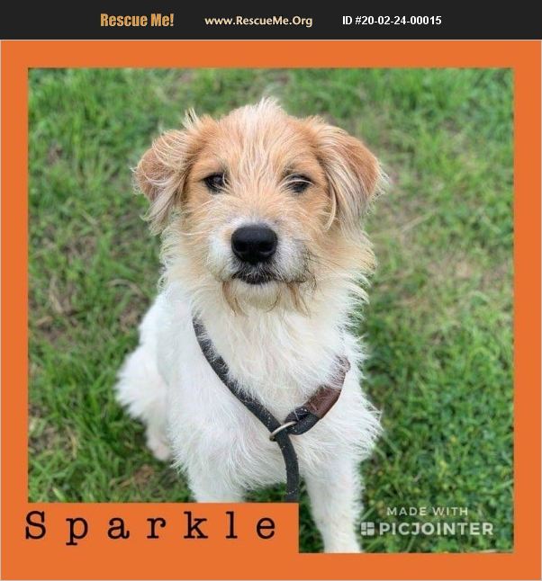 Sparkle has been adopted.