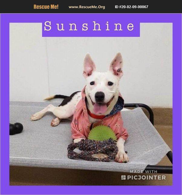 Sunshine has been adopted.