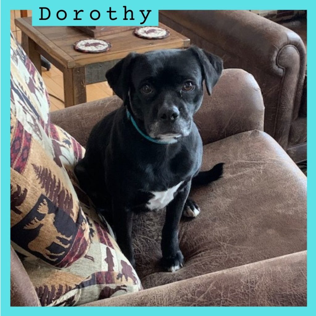Dorothy has been adopted.