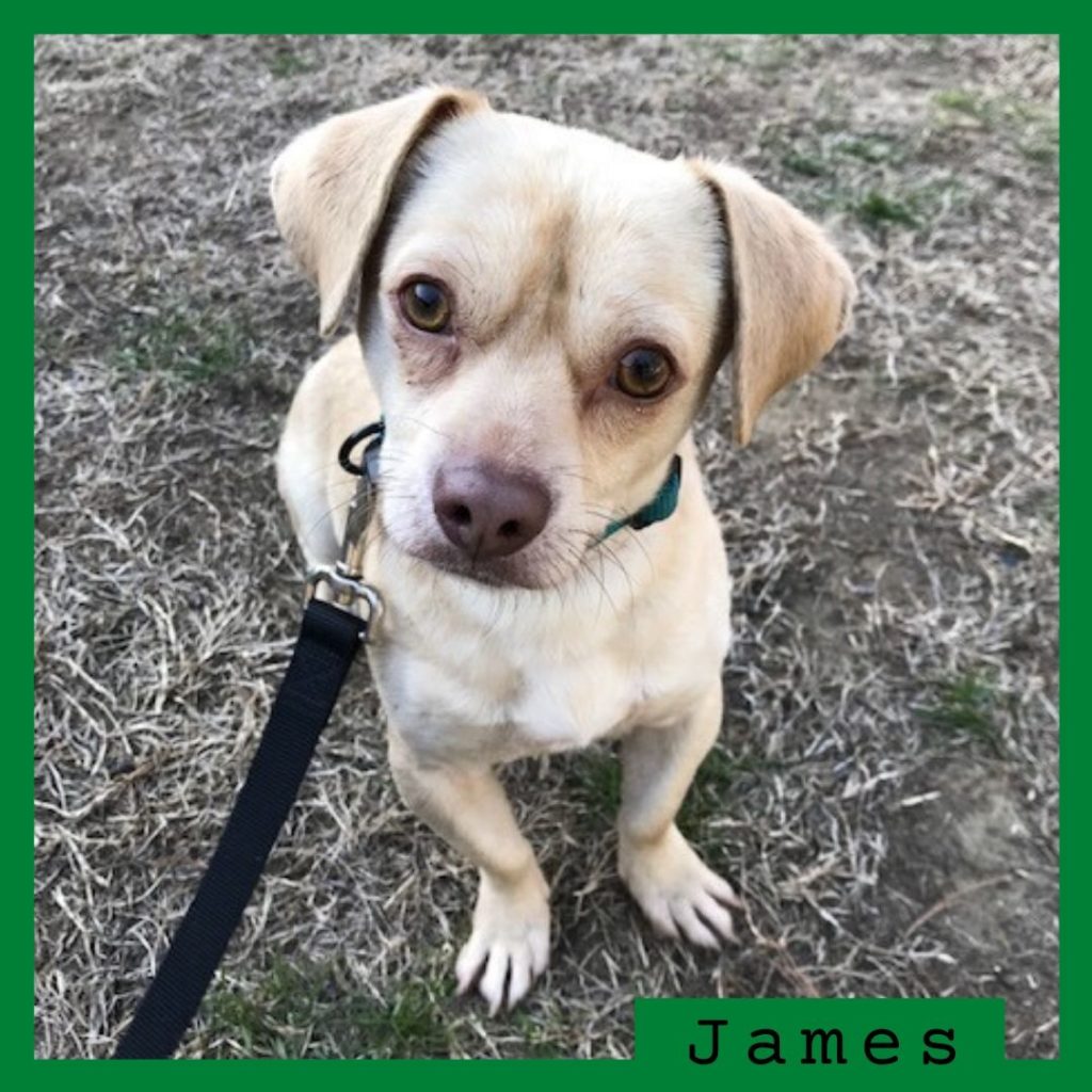 James has been adopted.