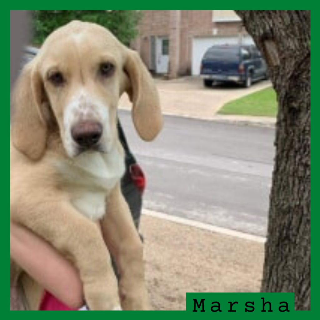 Marsha has been adopted.