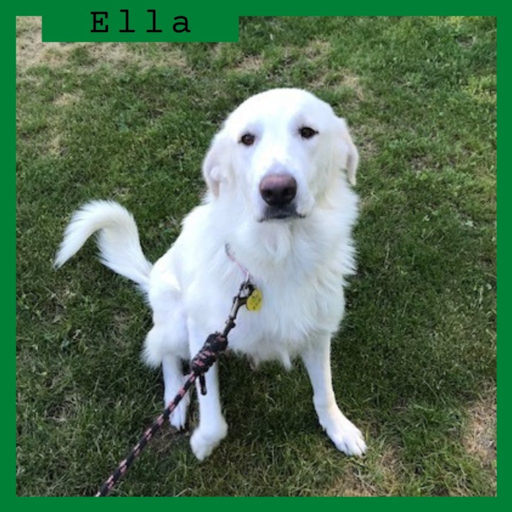 Ella has been adopted!