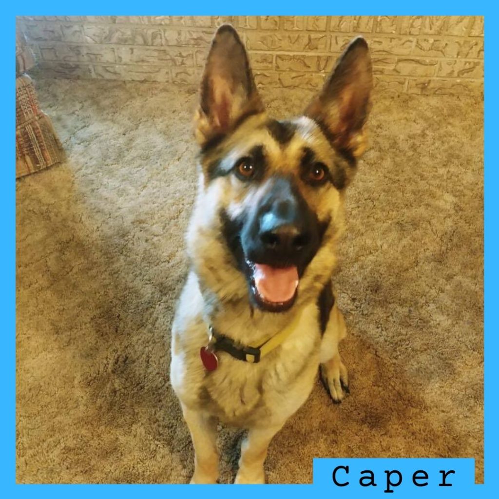 Caper has been adopted!