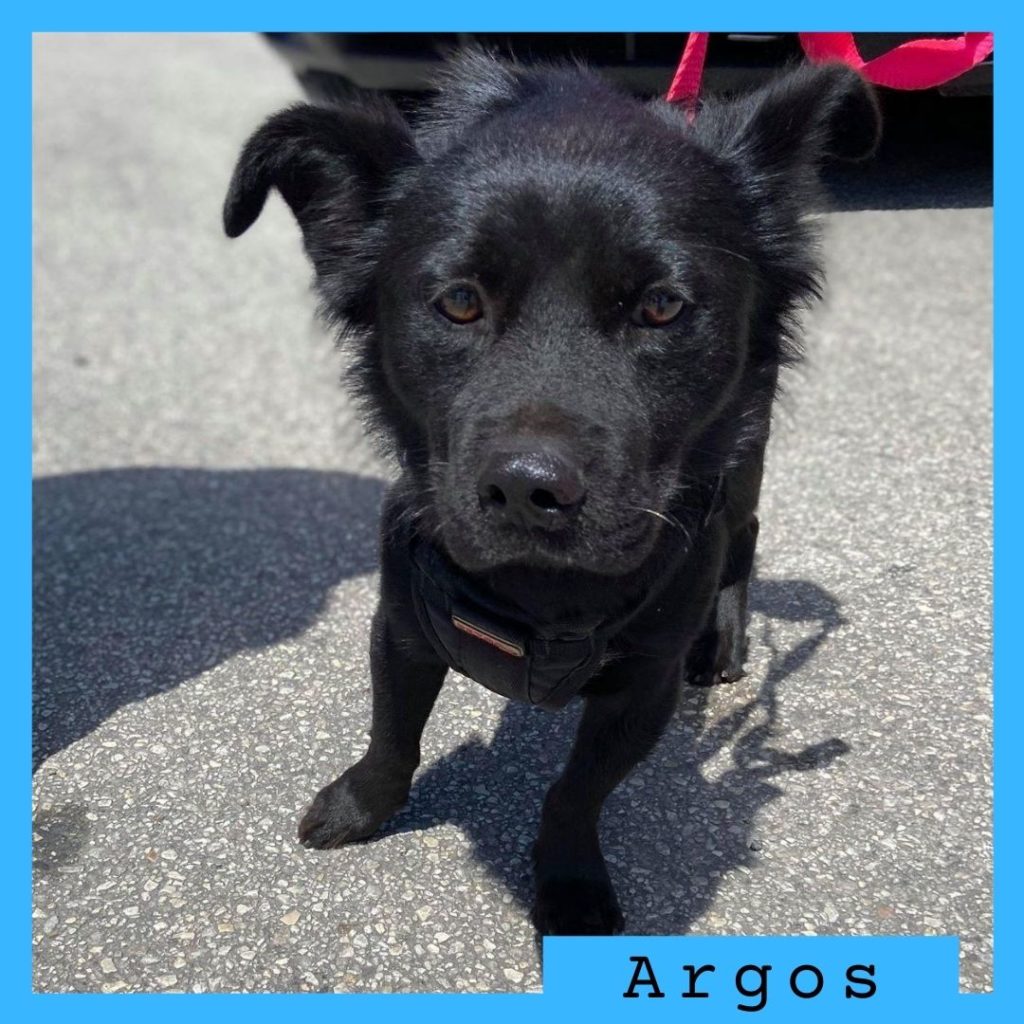 Argos has been adopted!