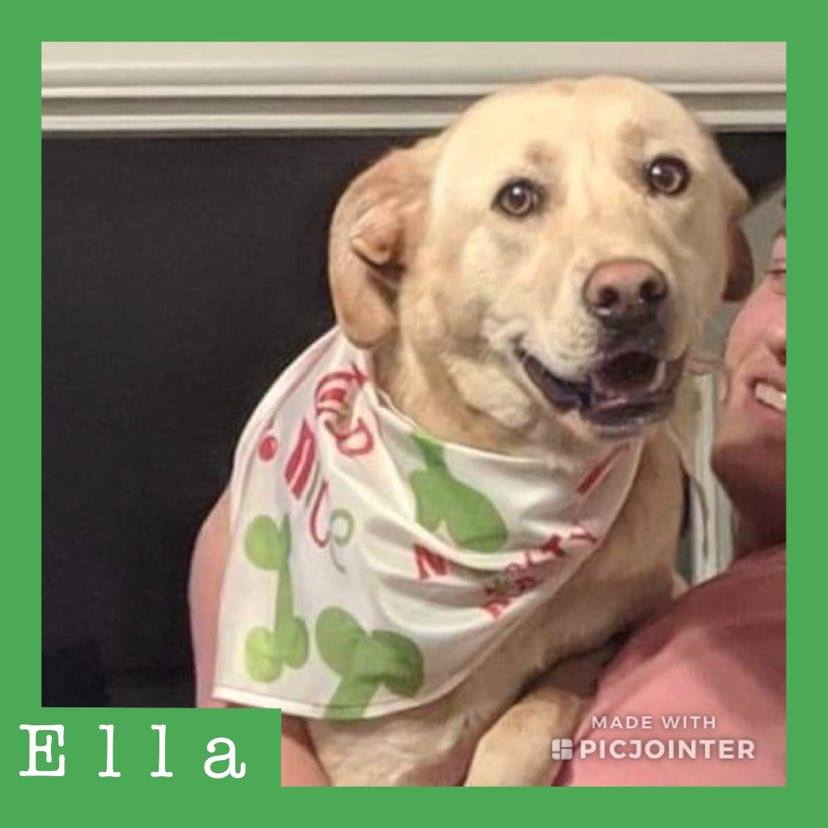 Ella has been adopted!