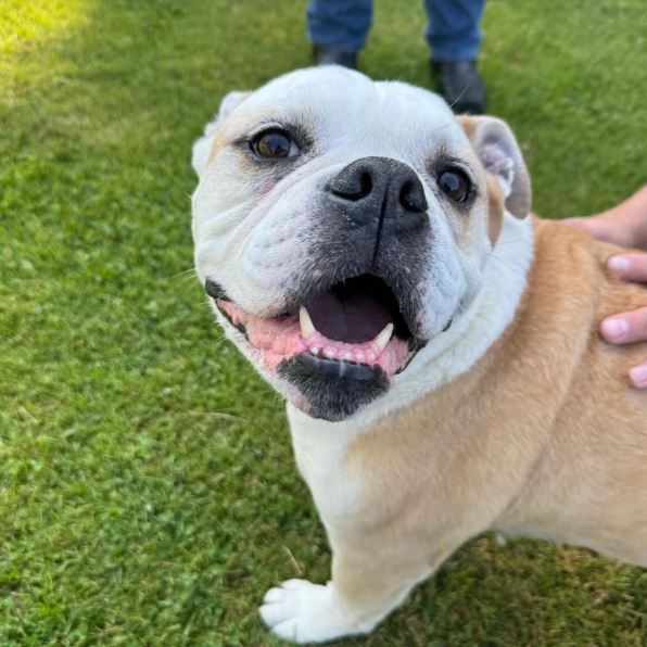 Gus